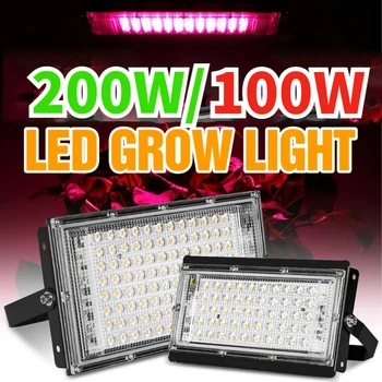 Celé Spektrum Phyto Lampa pre Rastliny, 200W LED Rásť Svetlo 220V Rastlín LED pre Kvetov, Zeleniny Stan Growbox Hydroponics Vnútorné